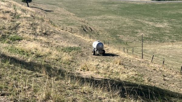 Landwirtschaftliche Flächen (2 Grundstücke)